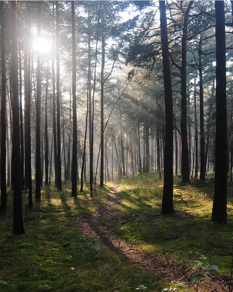 Airholen - Höhbeck, Germany | Good Travel