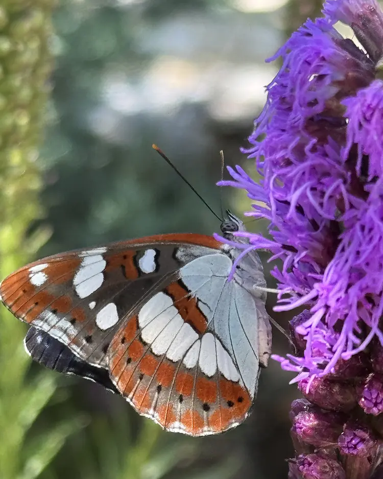 Kalpic Suites & Villa - Radonić, Kroatien | Good Travel