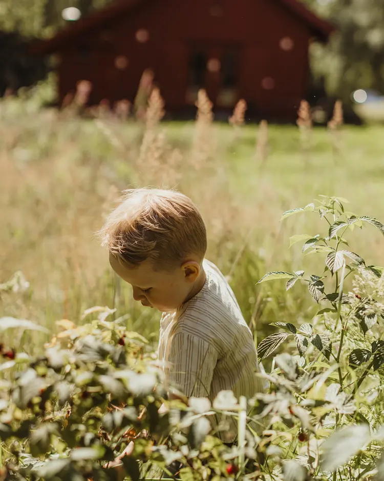 Hafsrød - Halden, Norwegen | Good Travel