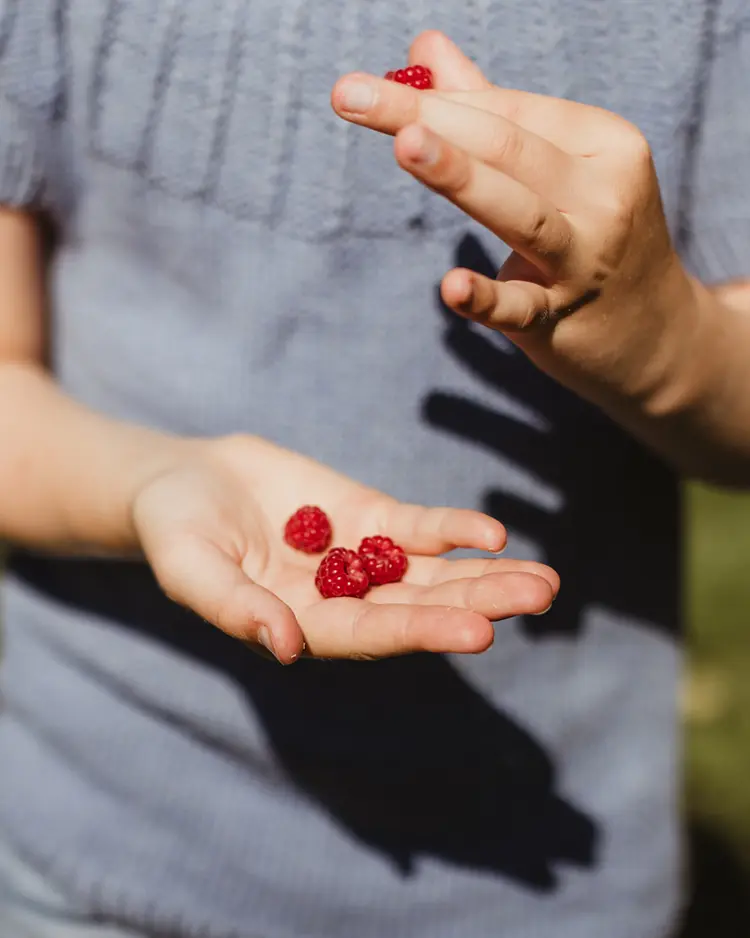 Hafsrød - Halden, Norwegen | Good Travel