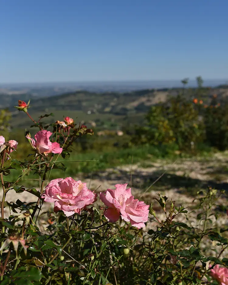 Refugium Veritas - Cupramontana, Italien | Good Travel
