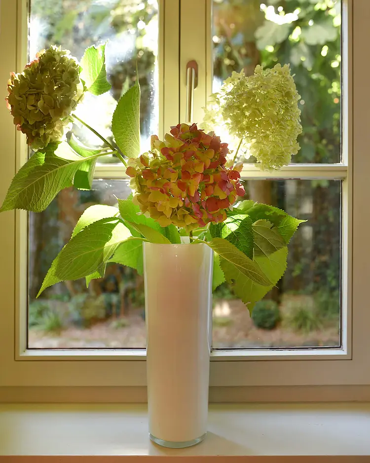 Refugium zu Sanct Kassian - Algund, Italien | Good Travel