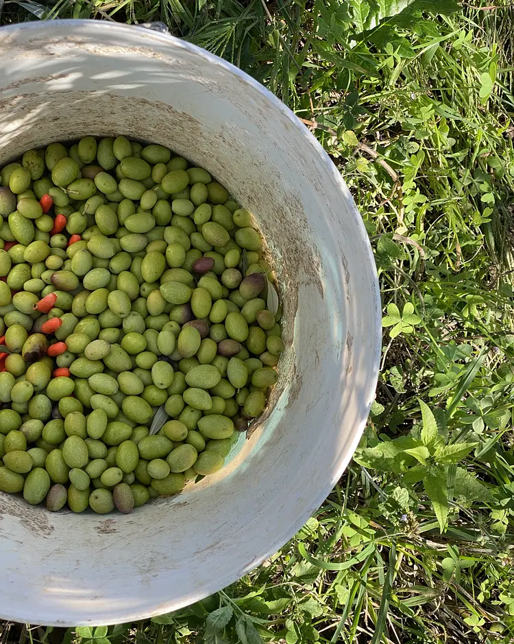 Casa Astura - Capo D’Orlando, Italien | Good Travel