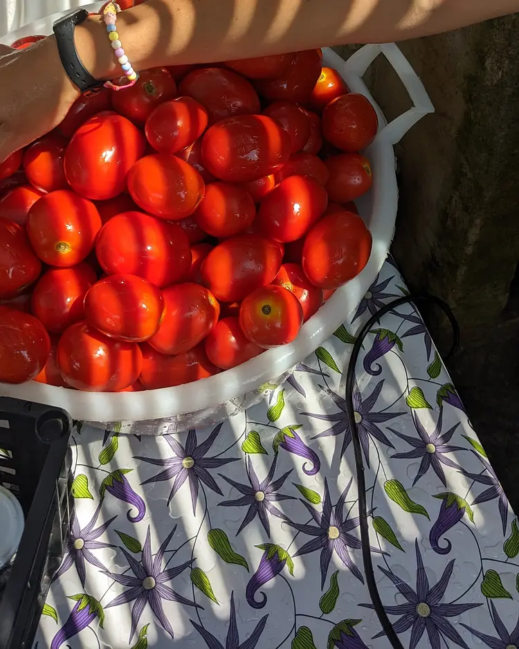 Casa Astura - Capo D’Orlando, Italien | Good Travel