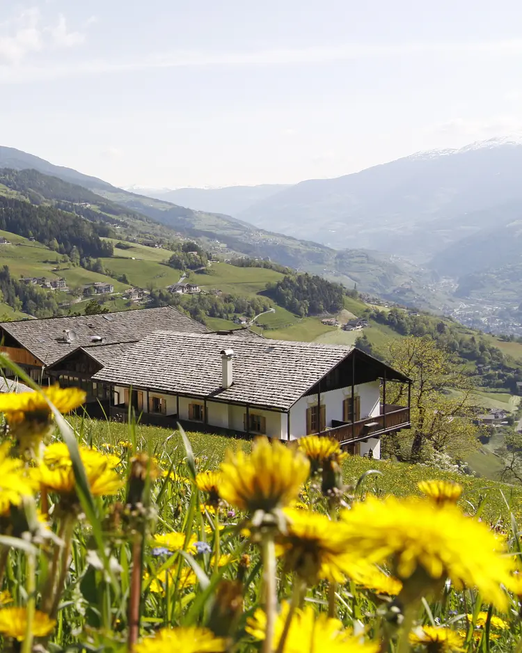 Gasthof Bad Dreikirchen - Barbian, Italien | Good Travel