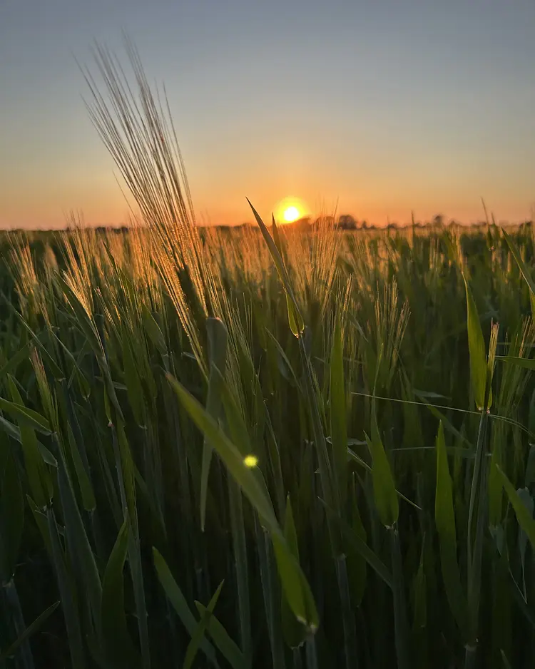 Der Wilhelminenhof - Dornum, Germany | Good Travel