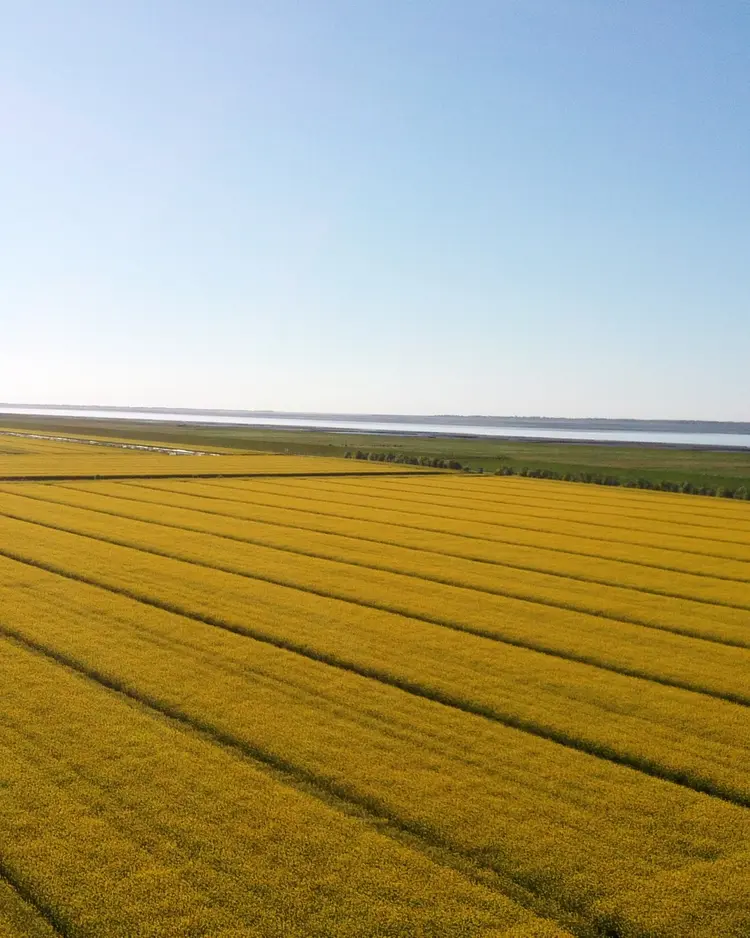 Der Wilhelminenhof - Dornum, Germany | Good Travel