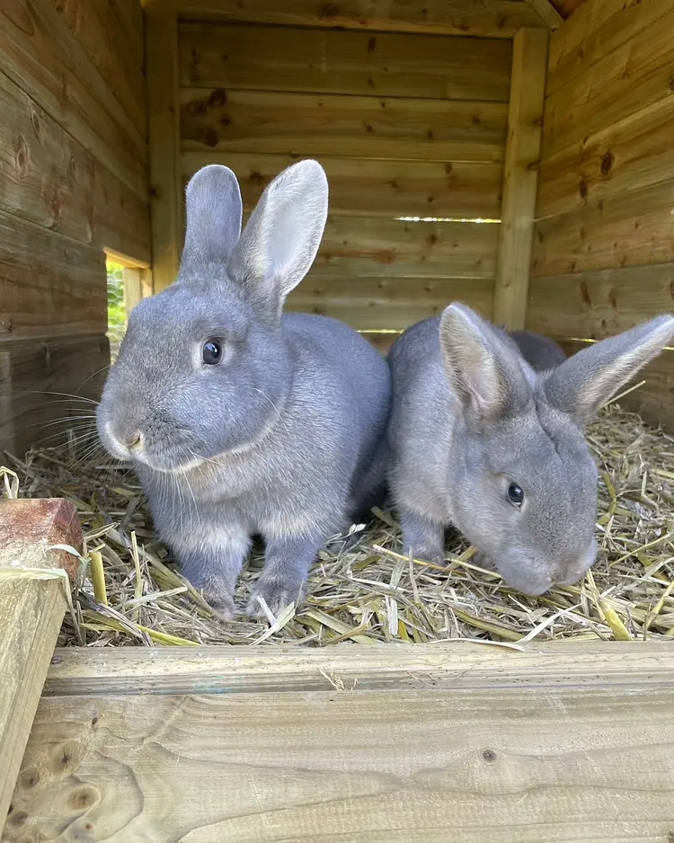 Der Wilhelminenhof - Dornum, Germany | Good Travel