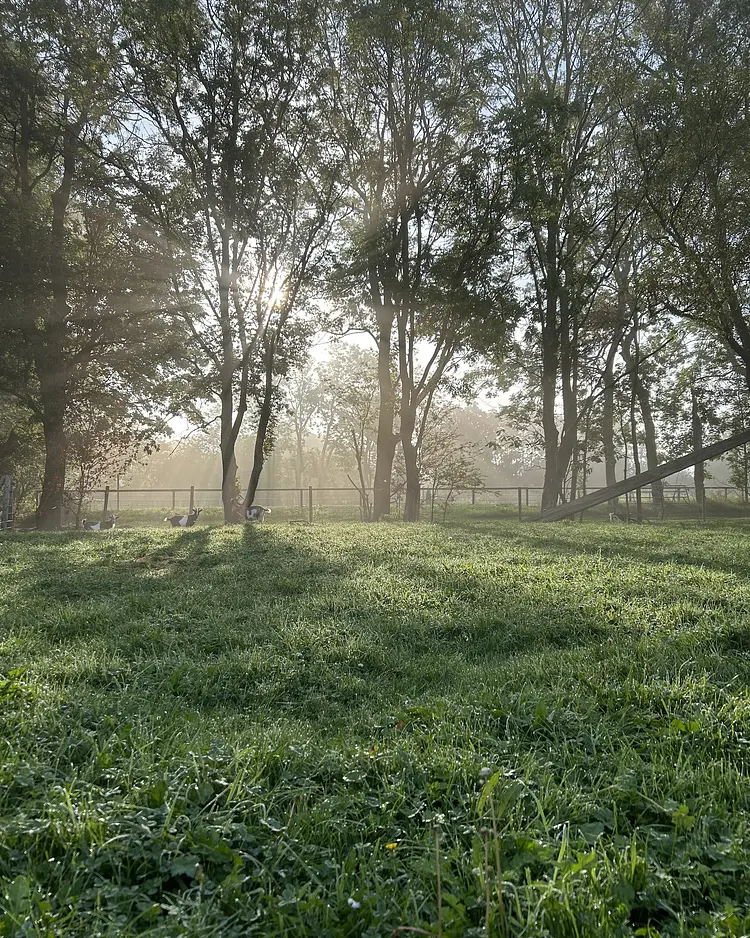 Der Wilhelminenhof - Dornum, Germany | Good Travel
