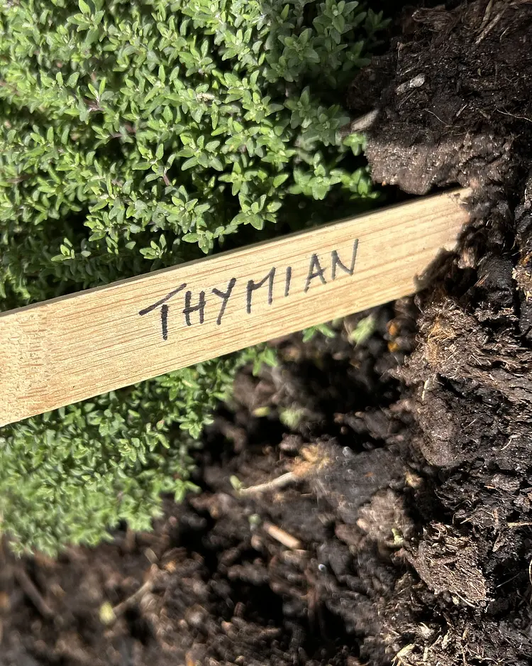 Der Wilhelminenhof - Dornum, Germany | Good Travel