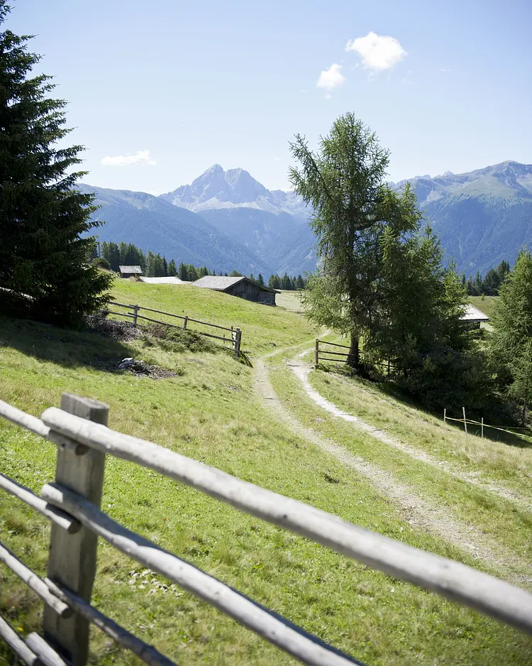 Biohotel Gitschberg - Meransen, Italien | Good Travel