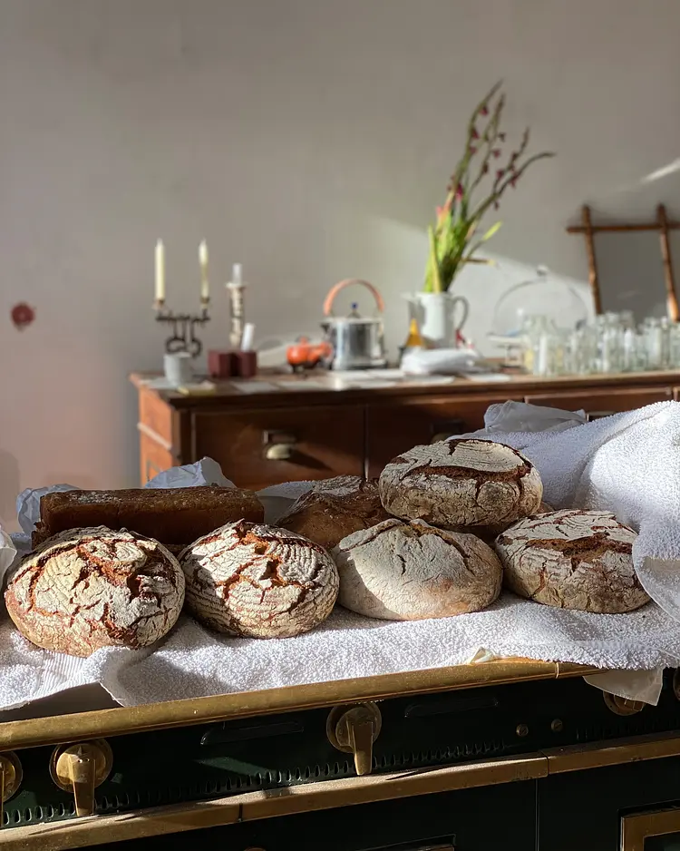 Glamping im Gutspark - Malchin, Deutschland | Good Travel
