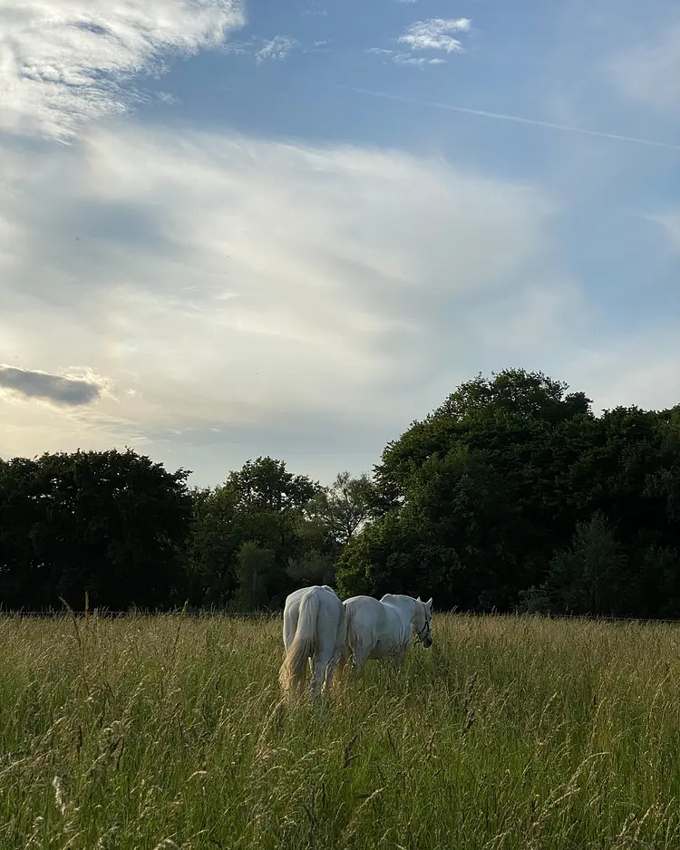 Glamping im Gutspark - Malchin, Deutschland | Good Travel