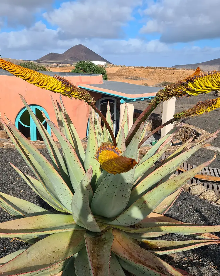 Jaima & Casa Barronia - Lanzarote, Spanien | Good Travel