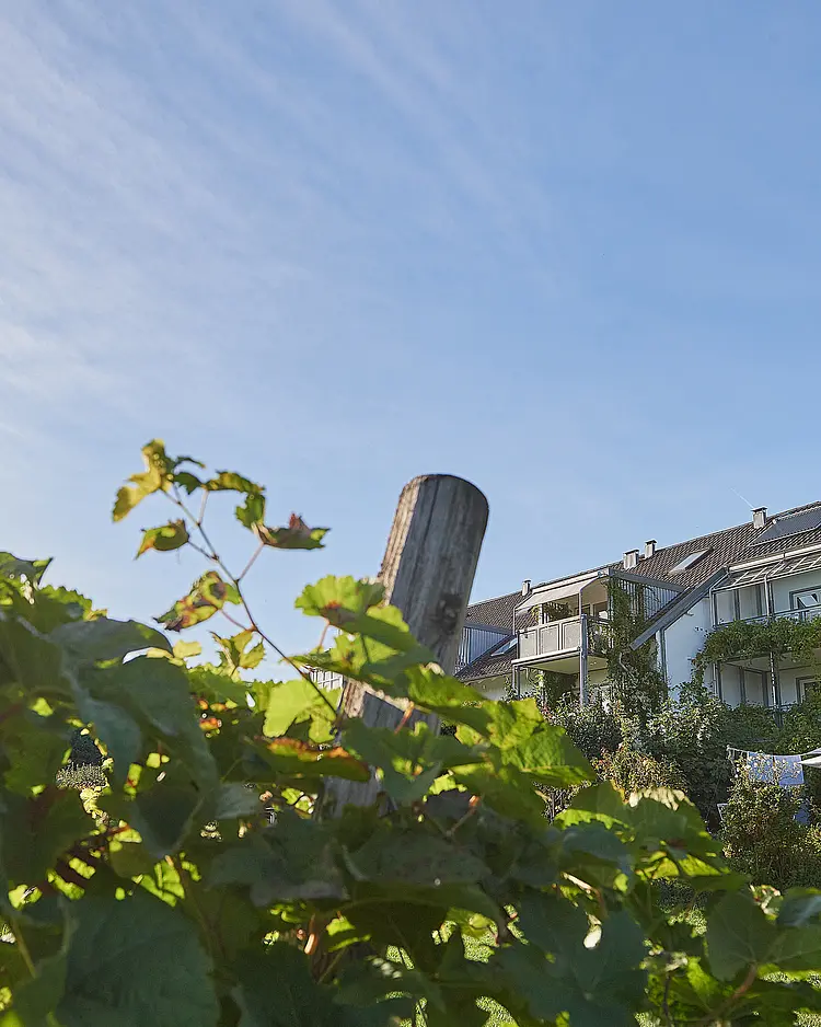 Teresa Deufel - Lindau, Deutschland | Good Travel