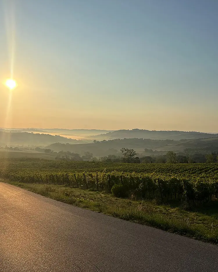 Corte Campioli - Terre Roveresche, Italien | Good Travel