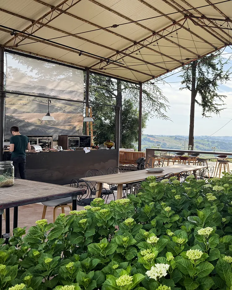 Corte Campioli - Terre Roveresche, Italy | Good Travel