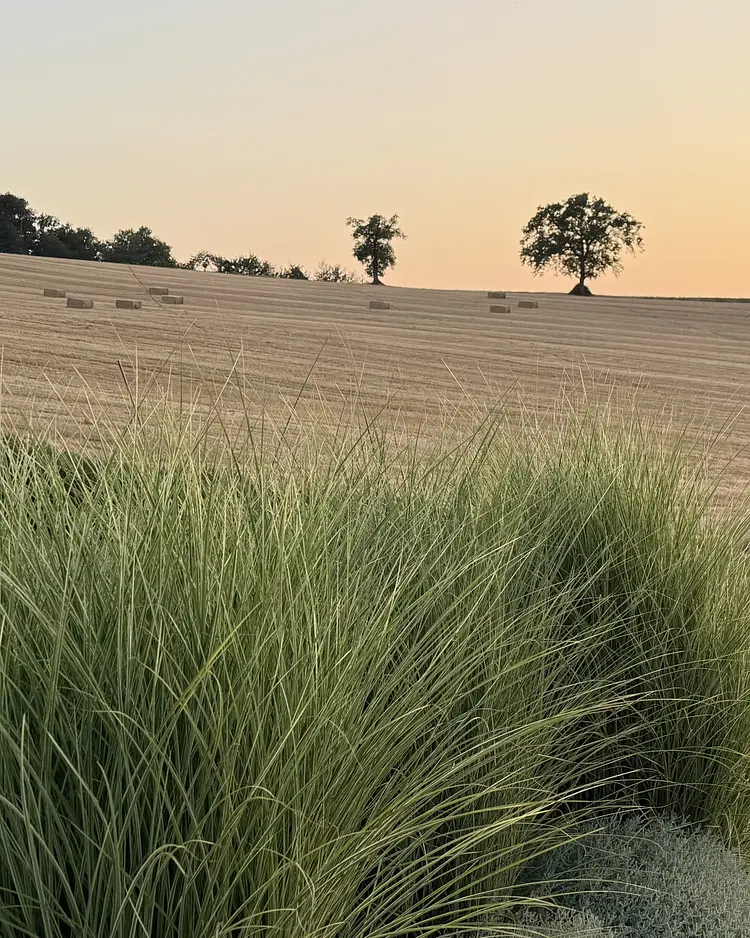 Corte Campioli - Terre Roveresche, Italy | Good Travel