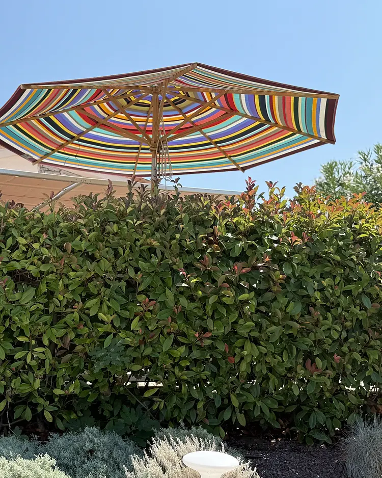 Corte Campioli - Terre Roveresche, Italien | Good Travel