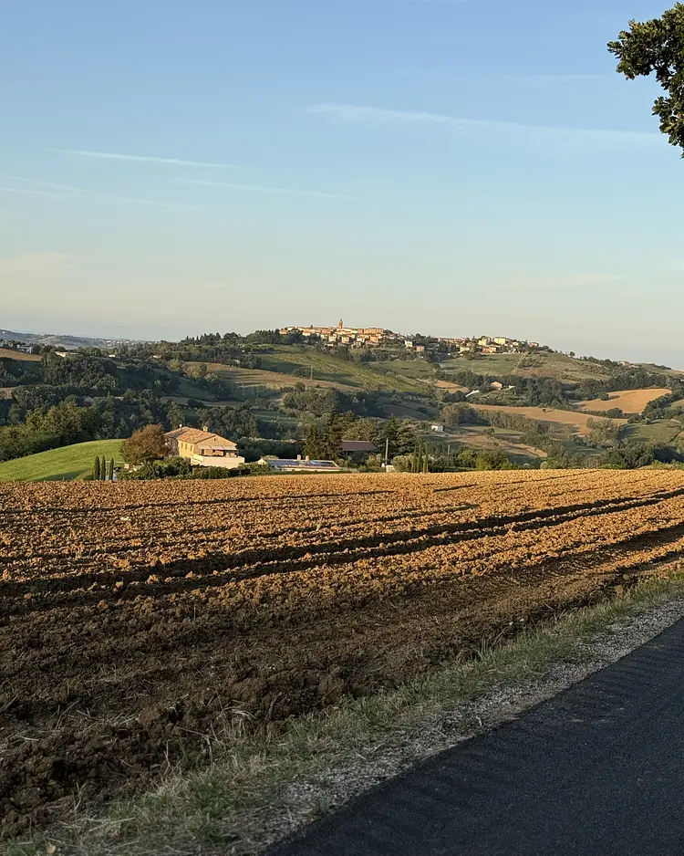 Corte Campioli - Terre Roveresche, Italy | Good Travel