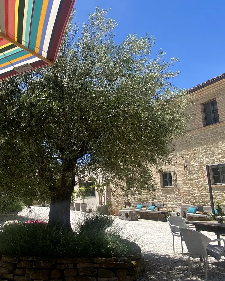 Corte Campioli - Terre Roveresche, Italy | Good Travel