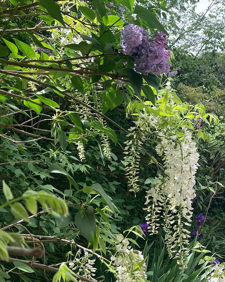 Hotel Mas Pelegri - Serinyà, Spanien | Good Travel