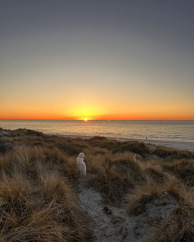 Strandhaus Rylereden - Hirtshals, Dänemark | Good Travel