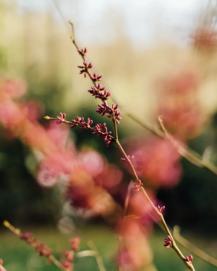 Das Haus am See - Stadtlauringen, Germany | Good Travel