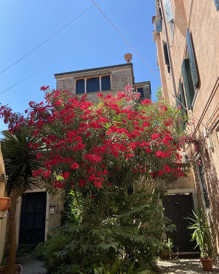 Biennale Hideaway - Venedig, Italien | Good Travel