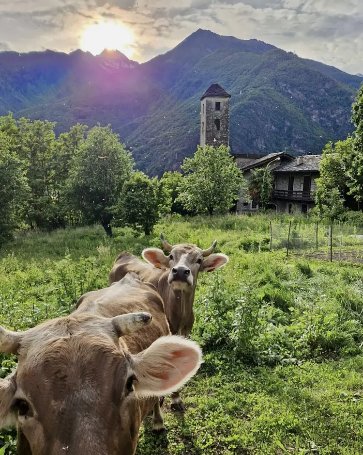 Campanile Nero - Prata Camportaccio, Italien | Good Travel