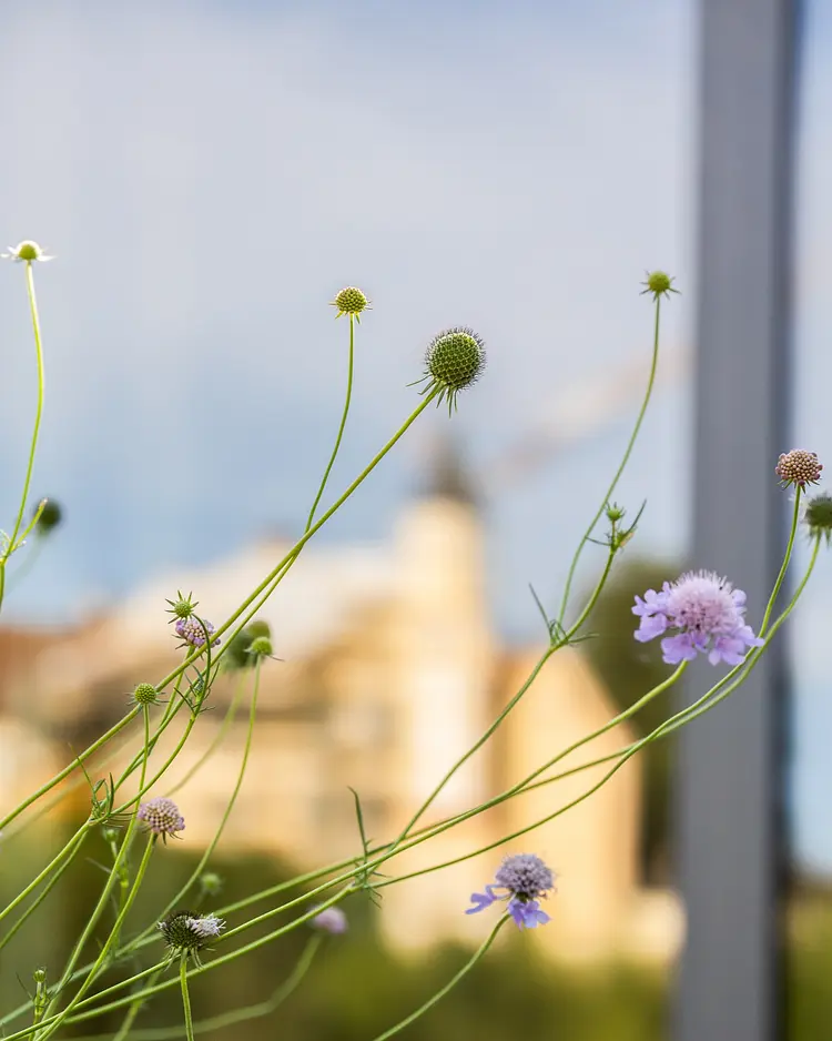 minimalanders - Altmannstein, Deutschland | Good Travel