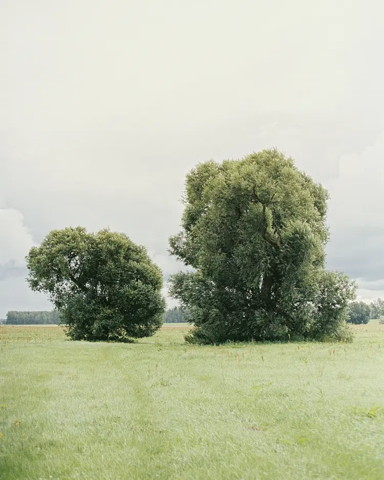 Verwalterinnenhaus - Werben (Elbe), Germany | Good Travel