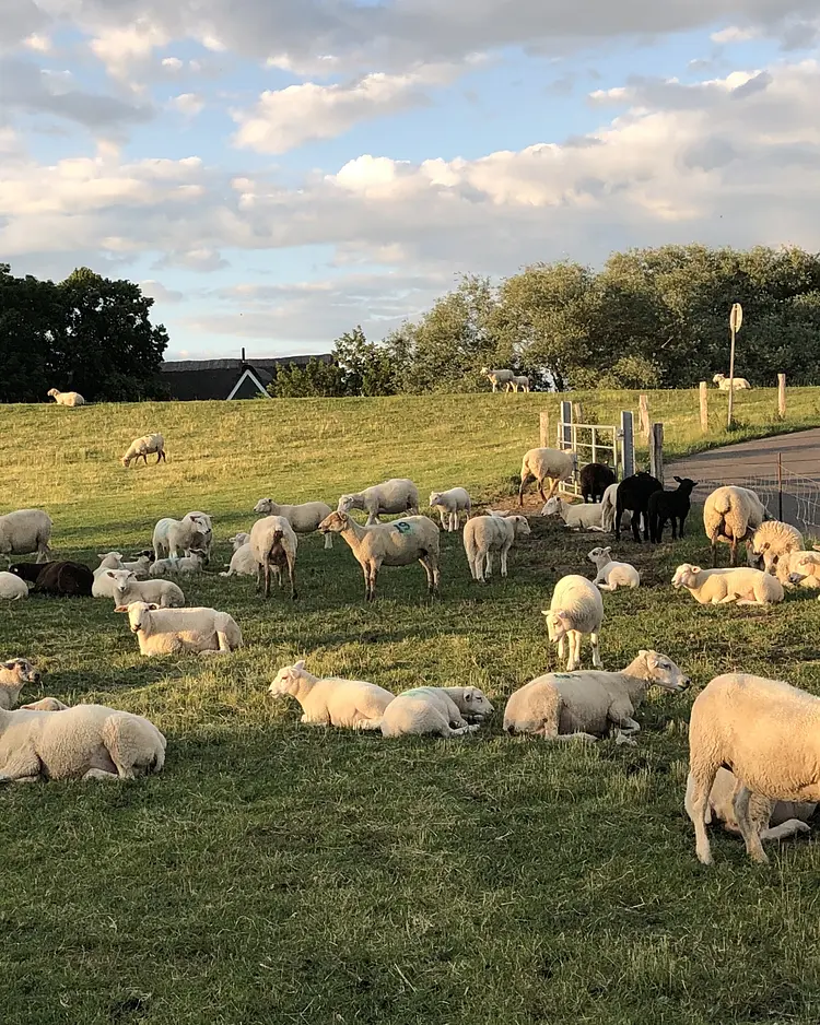 Gut Bielenberg - Kollmar, Deutschland | Good Travel