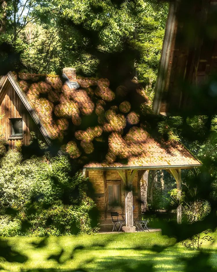 WildLandHaus - Hornbostel/Aller, Deutschland | Good Travel