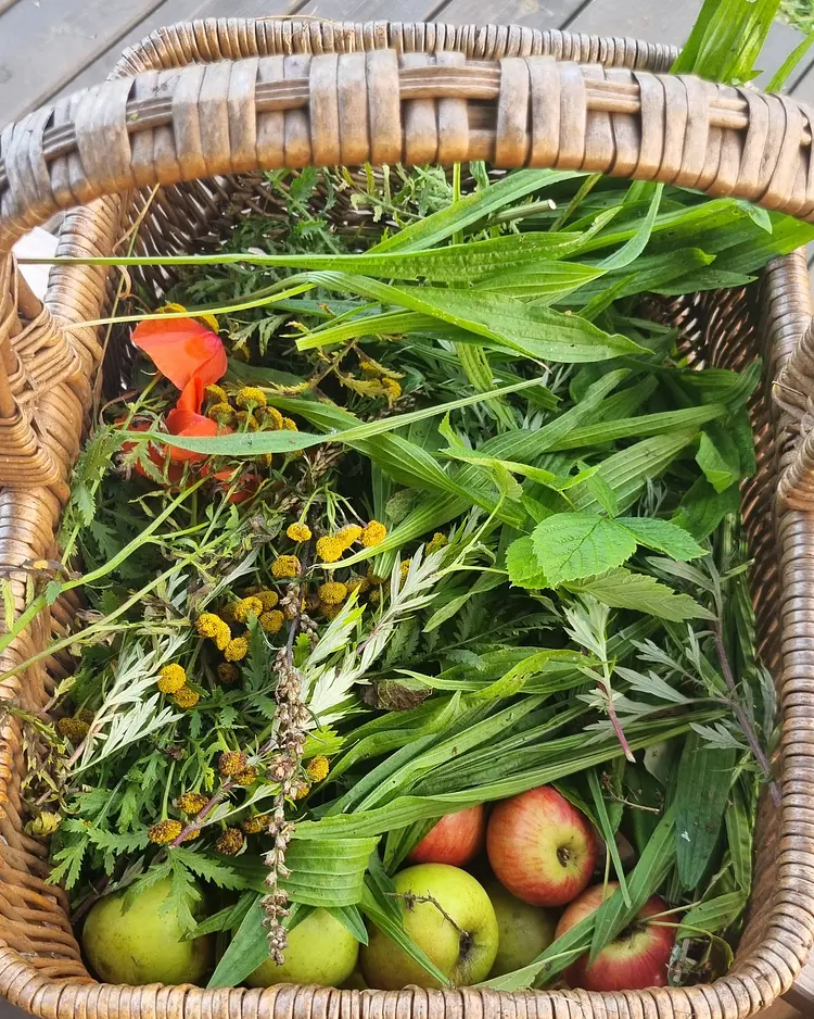 Lublewo21 - Lublewo Leborskie, Poland | Good Travel