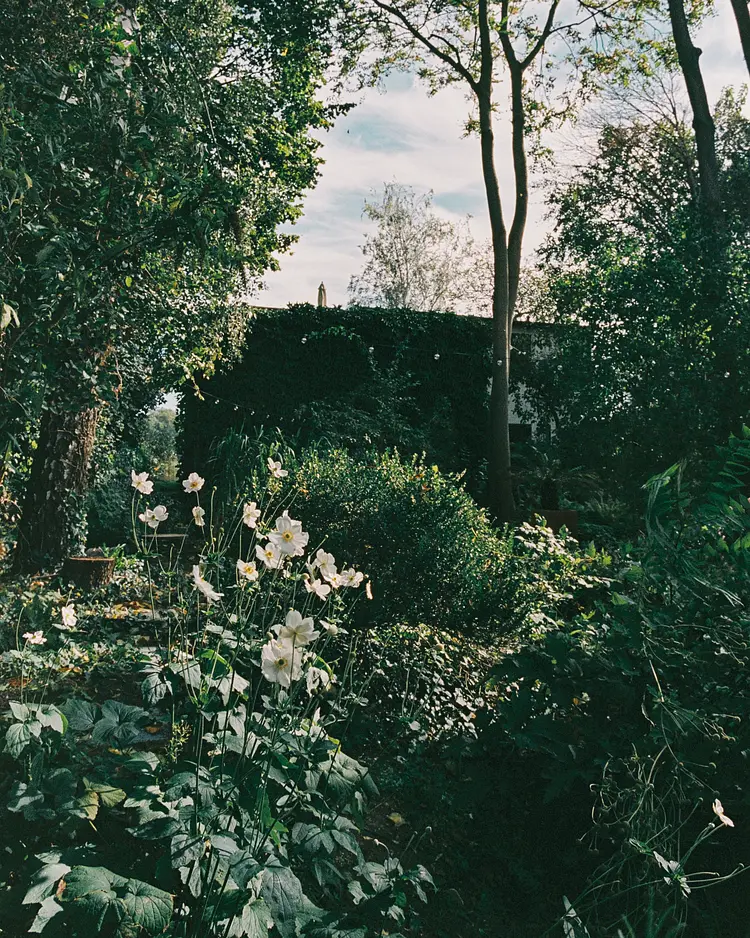 Ferien Werder - Werder (Havel), Deutschland | Good Travel