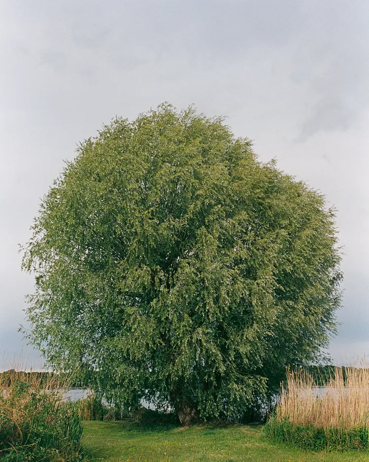 Ferien Werder - Werder (Havel), Deutschland | Good Travel