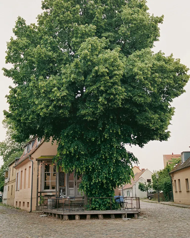 Ferien Werder - Werder (Havel), Deutschland | Good Travel