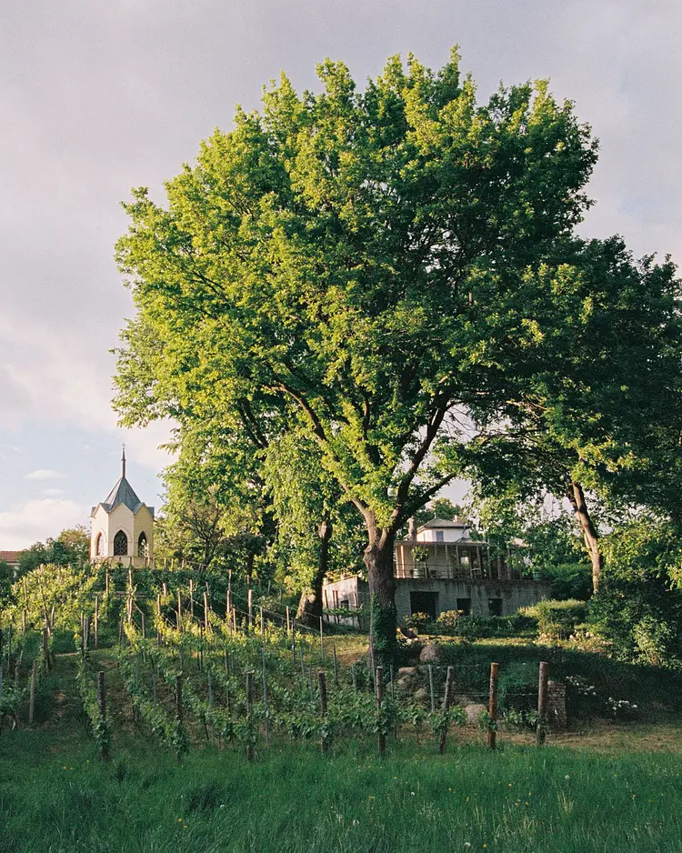 Ferien Werder - Werder (Havel), Deutschland | Good Travel