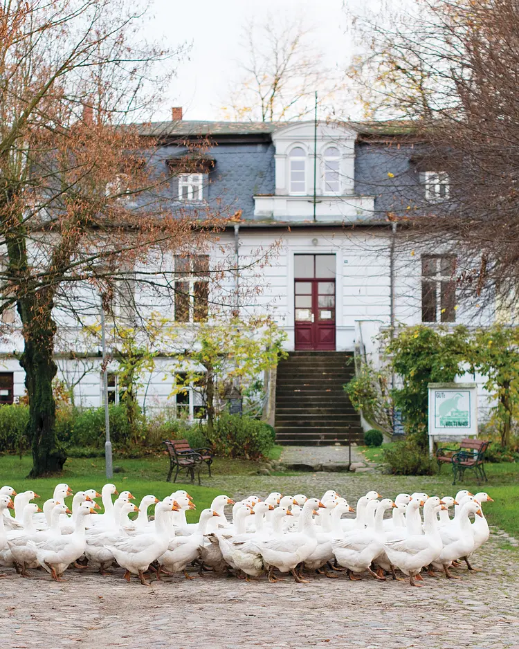 Gut Boltenhof - Fürstenberg/Havel, Deutschland | Good Travel