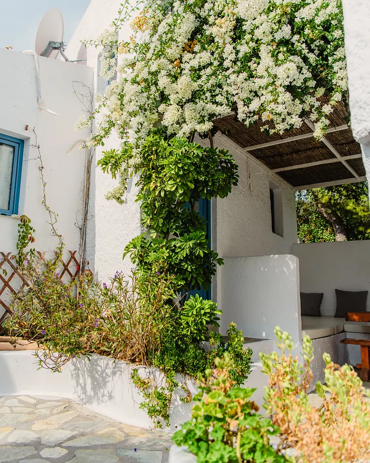 Rosy's - Agistri Island, Griechenland | Good Travel