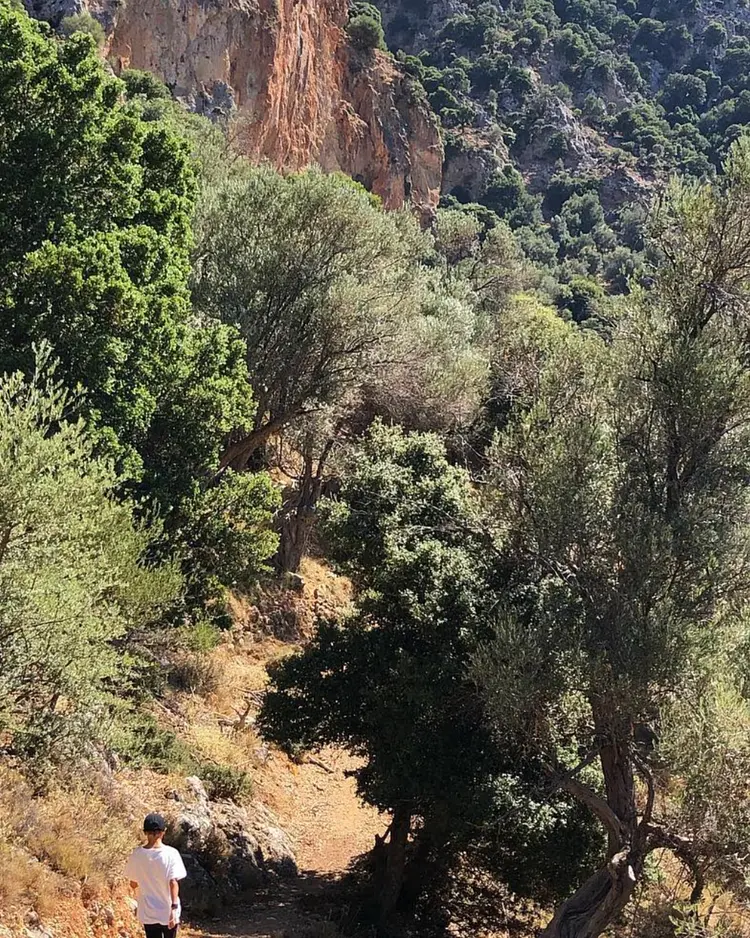 Mourtzanakis Residence - Achlada, Griechenland | Good Travel