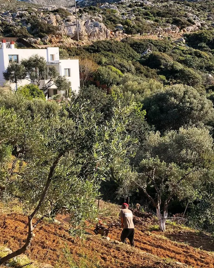 Mourtzanakis Residence - Achlada, Griechenland | Good Travel