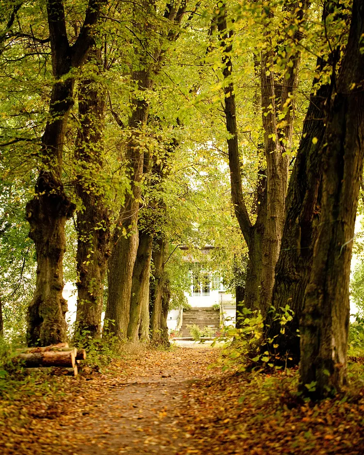 Gut Boltenhof - Fürstenberg/Havel, Deutschland | Good Travel