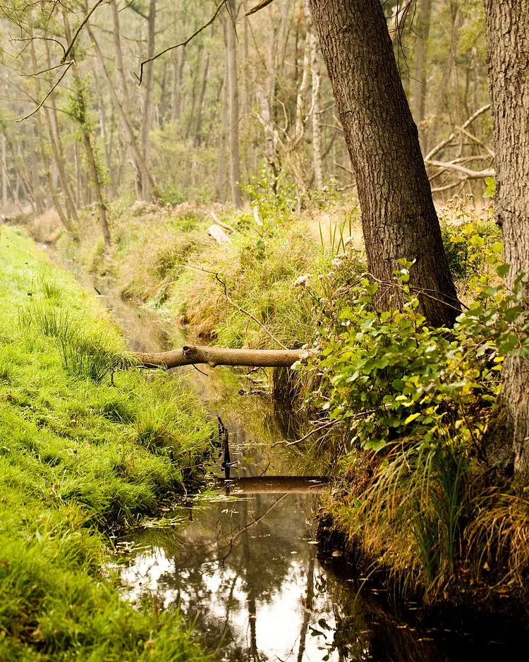 Gut Boltenhof - Fürstenberg/Havel, Deutschland | Good Travel