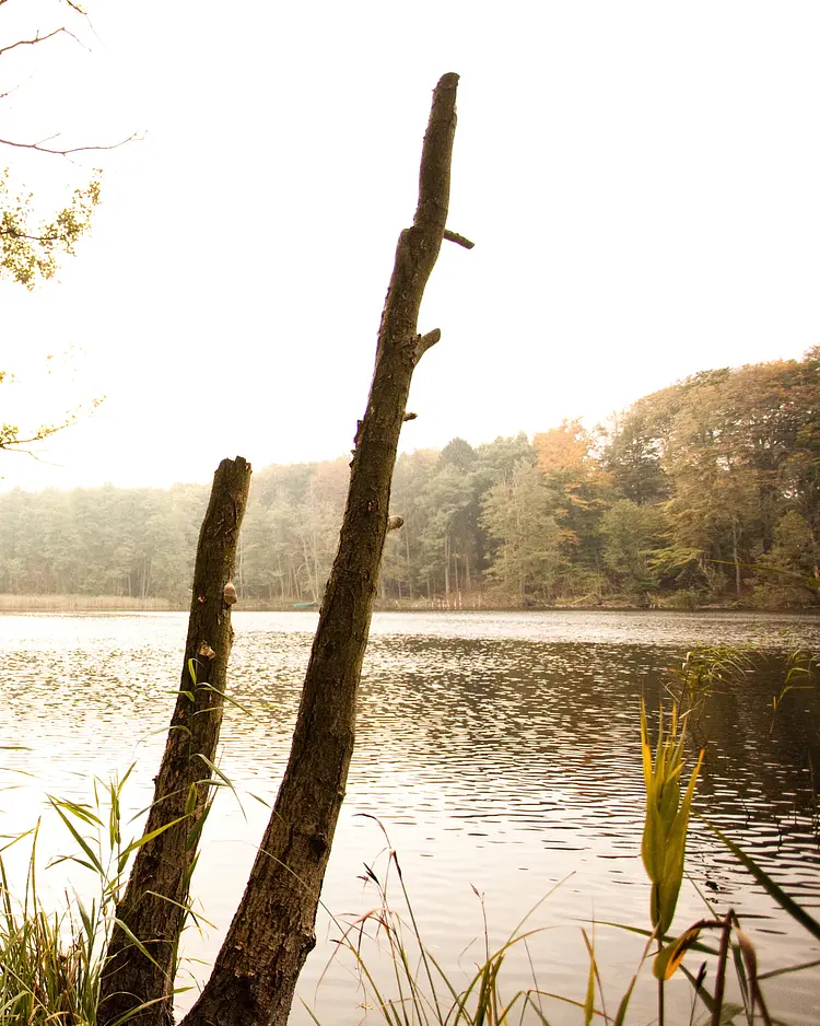 Gut Boltenhof - Fürstenberg/Havel, Deutschland | Good Travel