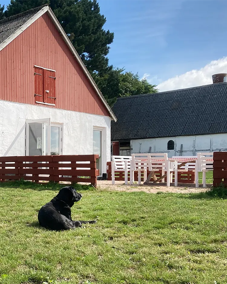 Dambækgaard - Hårlev, Dänemark | Good Travel