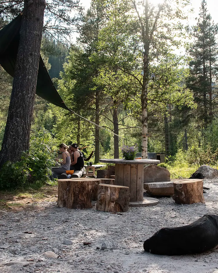 Å Camp - Tinn Austbygd, Norway | Good Travel