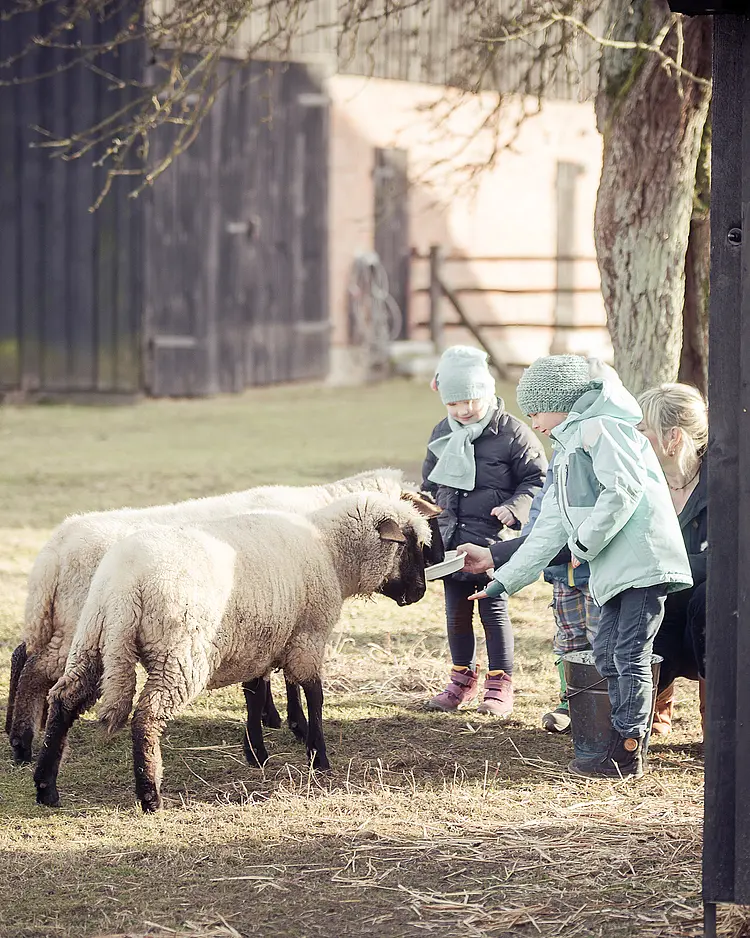 Ferienhof Middenmank - Glaisin, Deutschland | Good Travel