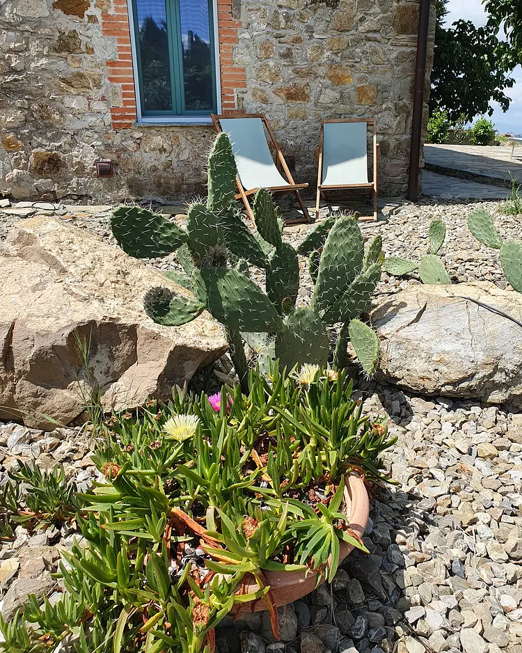 Capraleccia - Orciatico, Italy | Good Travel